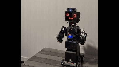 robot with dog