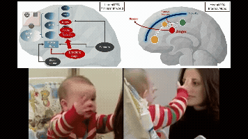 still face - anger, sad